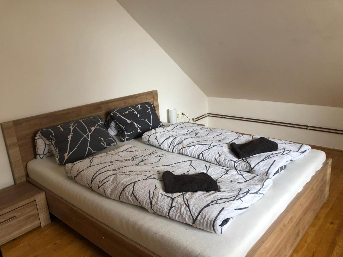 Apartman Pod Laznema Jeseník エクステリア 写真